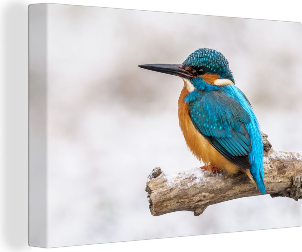 OneMillionCanvasses - Leinwandbilder - 140x90 cm, Eisvogel - Winter - Zweige, Wandbilder Kunstdruck Wanddekoration