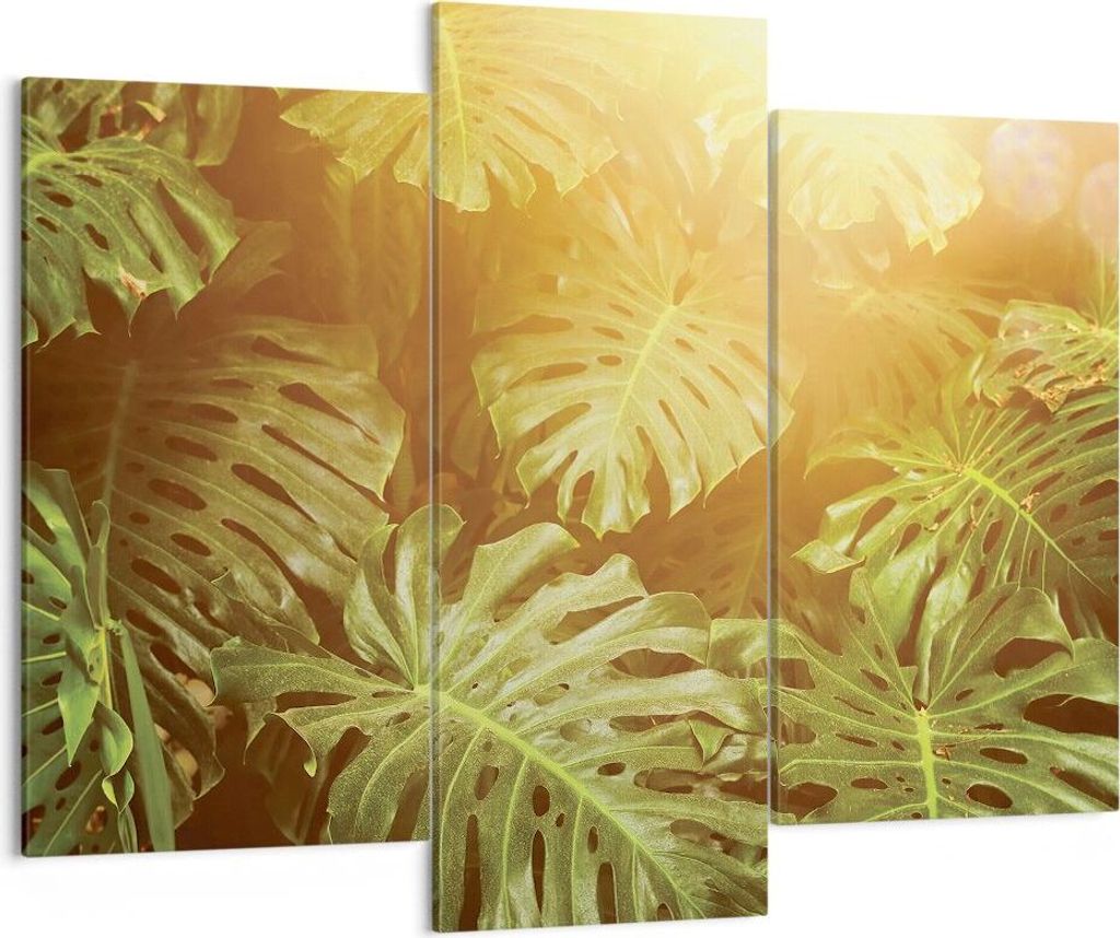 Bild auf Leinwand - Leinwandbild - 3 Teile - Blätter Monstera Licht - 130x100cm - Wand Bild - Wanddeko - Wandbilder - Leinwanddruck - Bilder - Wan...