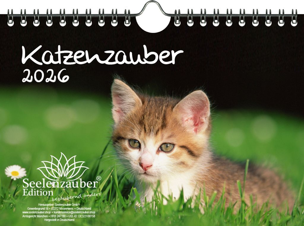 Katzenzauber DIN A5 Kalender für 2026 Katzen und Katzenbabys - Seelenzauber