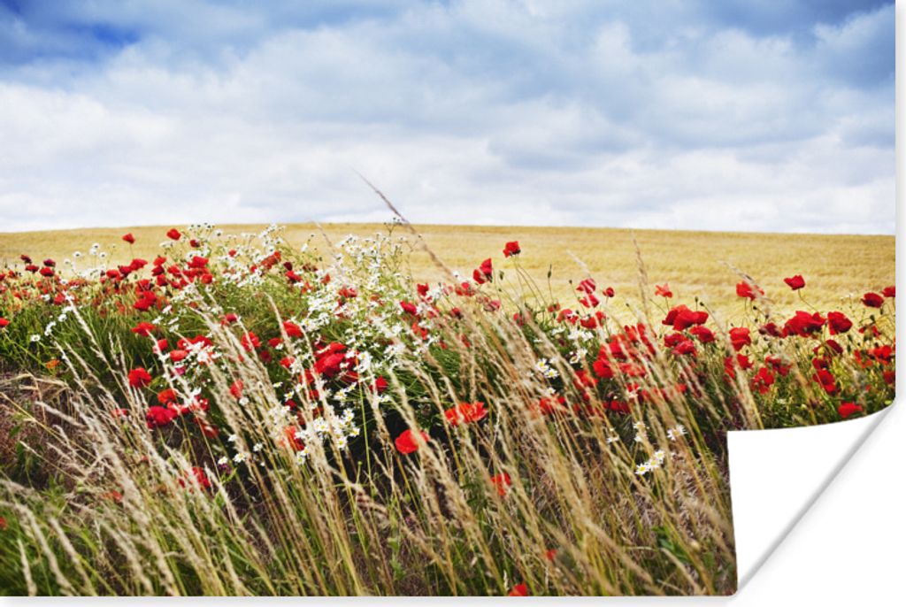 MuchoWow Poster Wolken - Blumen - Rot 120x80 cm - Bilder