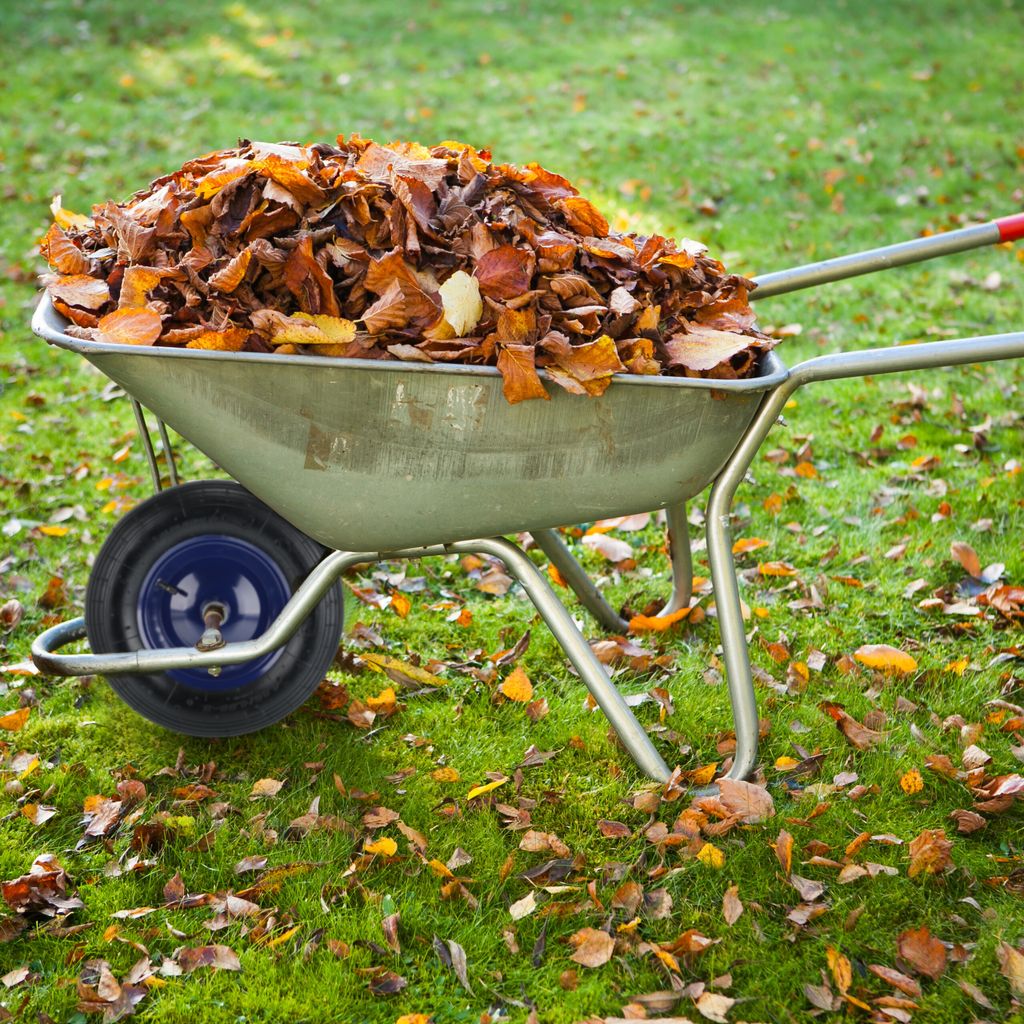 Relaxdays Schubkarrenrad 4.80 4.00-8, luftbereift, Produktbild 