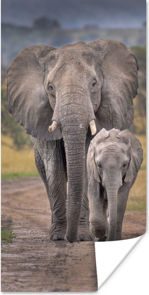 MuchoWow Poster Elefantenmutter und Kalb auf einer Straße im Ngorongoro-Krater 60x120 cm - Wandschmuck