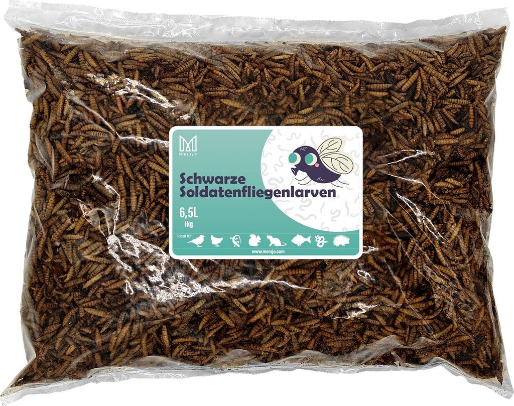 Larve di mosca soldato nera essiccate per rettili, roditori Immagine del prodotto 