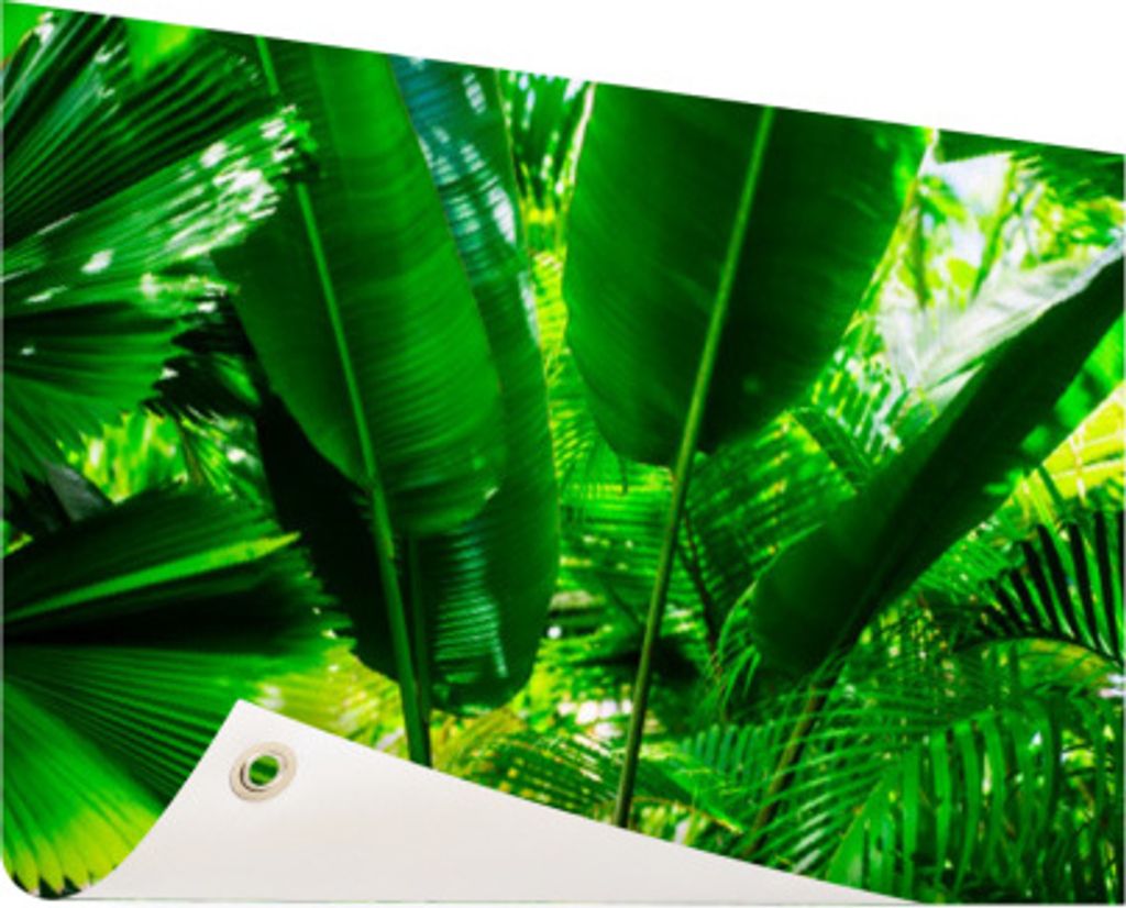 Gartenposter - 120x80 cm - Tropische Blätter im Dschungel Fotodruck - Modernes Wandbilder - Natur