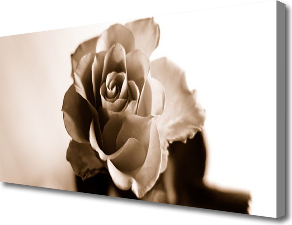 Tulup Leinwand-Bilder 100x50 Wandbild Canvas Kunstdruck Rose Pflanzen