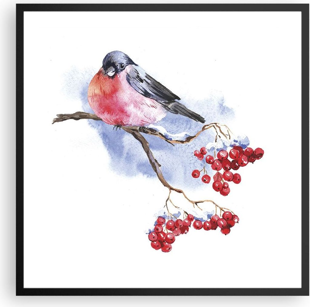 Gerahmtes Poster - Schwarzer Rahmen - Dompfaff auf Zweig - 60x60 cm - Wand Bild - Wanddeko - Wandbilder - Kunstposter - Wandposter - Bilderrahmen -...