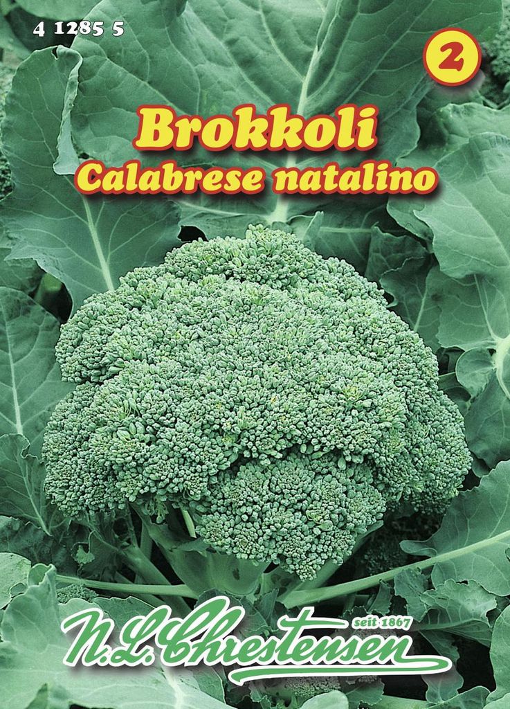 Artikelbild 1 von 'Brokkoli Calabrese natalino' aus der Kategorie Brokkolisamen