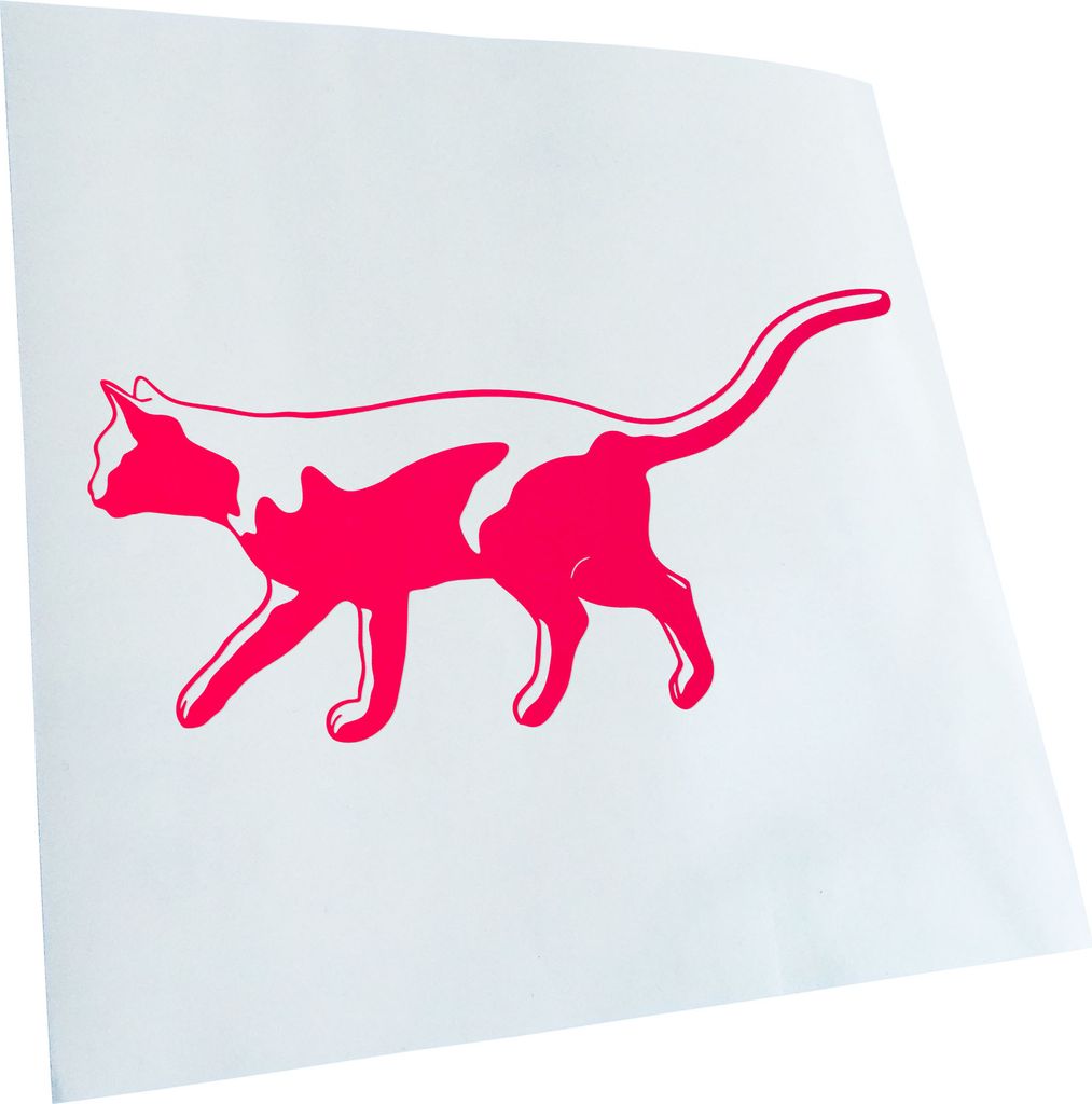 hauptsachebeklebt Kiwistar - Autoaufkleber - Katze laufend Cat Heckscheibe - Aufkleber für Auto Kfz Fahrrad, LKW, Truck Mofa