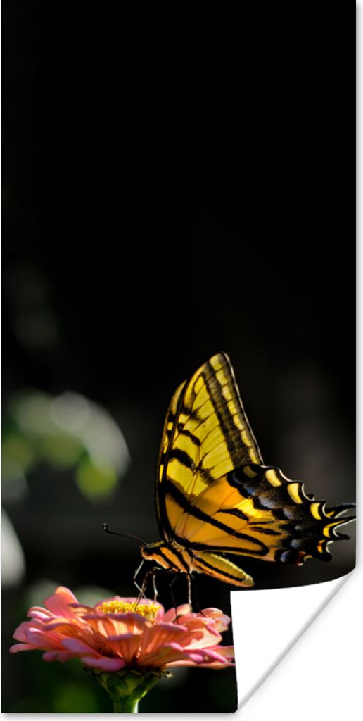 MuchoWow Poster Schmetterling - Botanisch - Blume 75x150 cm - Dekoration für die Wände