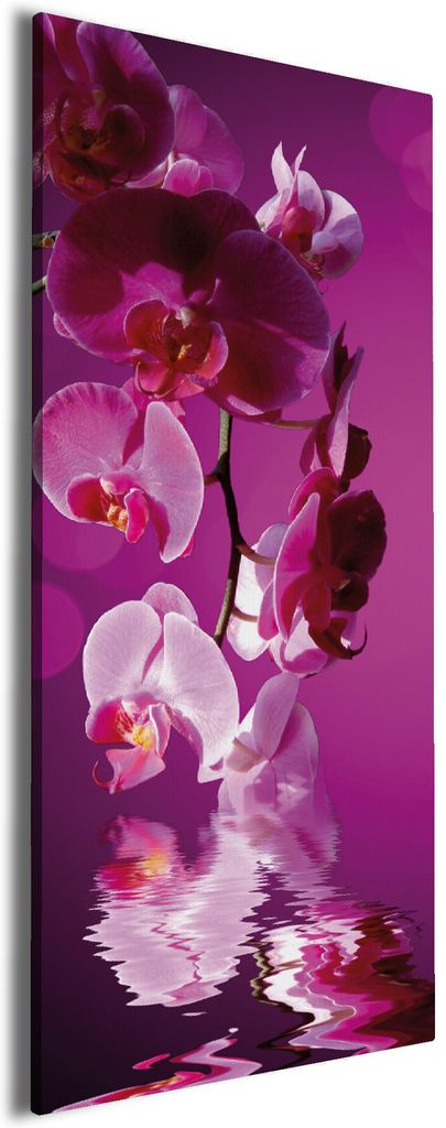 Wallario Premium Leinwandbild Rosafarbene Orchidee Blüten in pink in Größe 50 x 125 cm