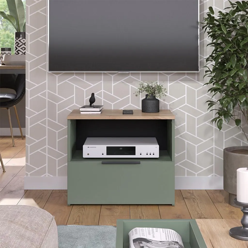 Meuble TV pour Petit Salon Vicco Wido Vert 60x50cm Gain de Place