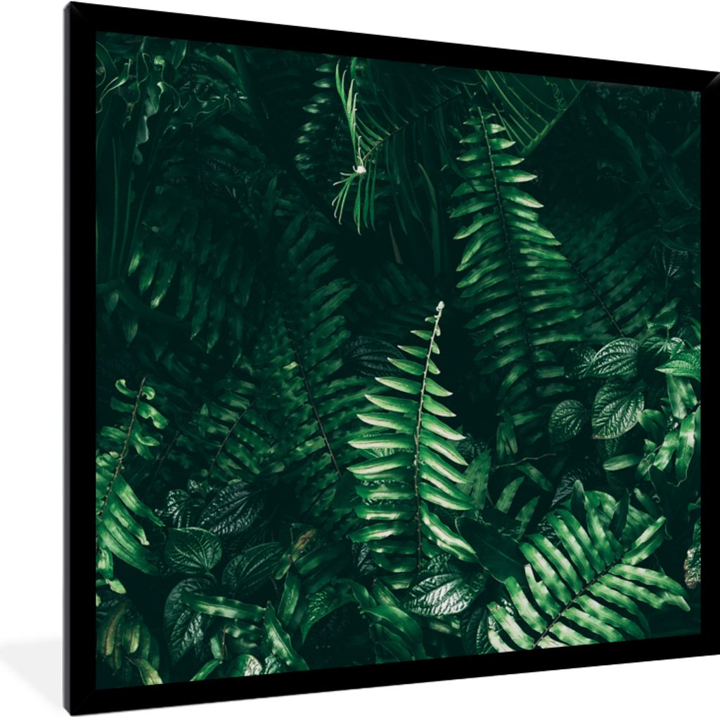 MuchoWow Gerahmtes Poster Blätter - Dschungel - Natur - Tropisch - Pflanzen 40x40 cm - Poster mit Schwarzem Bilderrahmen Wandposter Rahmen Foto ...