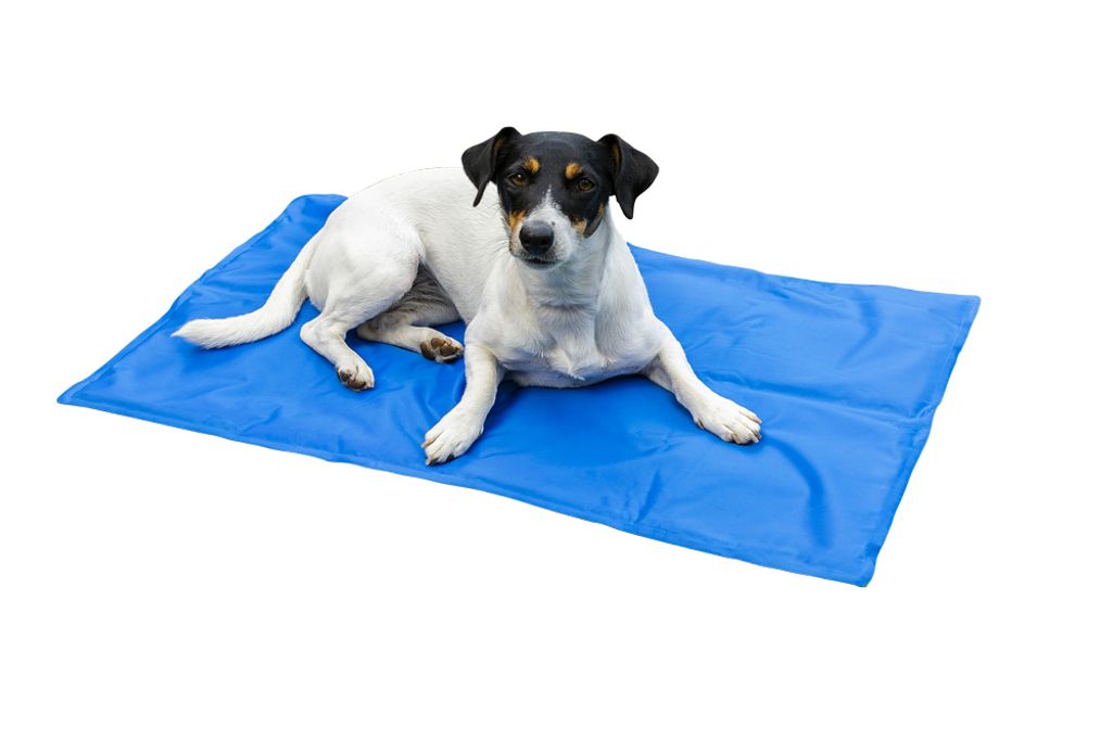 Kühlmatte für Hunde und Katzen 81 x 96 cm