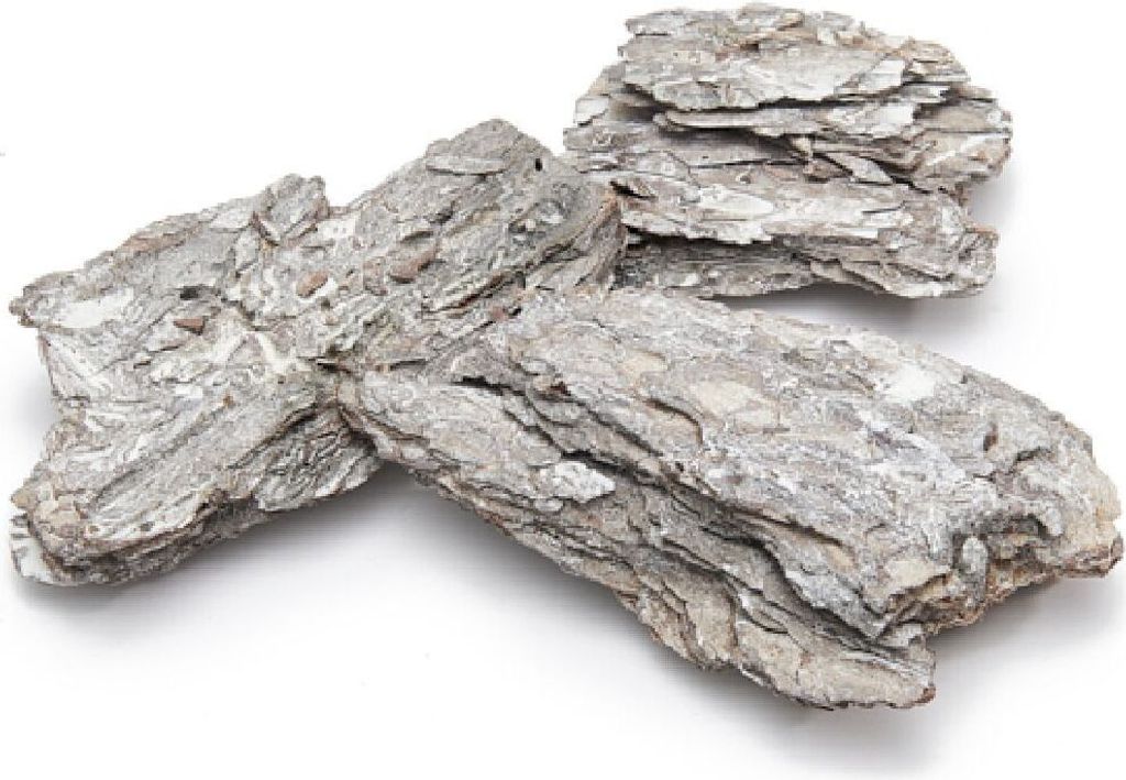 Baumrinde Maritima I weiss gewischt I ca.1,5 kg I Holzrinde zum Basteln - 21,49 € pro Kilogramm
