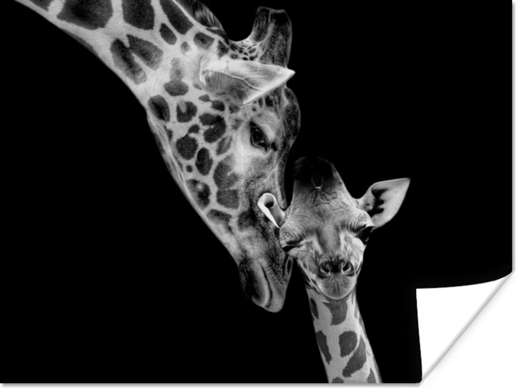 MuchoWow Poster Porträt - Giraffe - Tiere - Schwarz - Weiß 40x30 cm - Plakate für die Wände - Poster Wohnzimmer