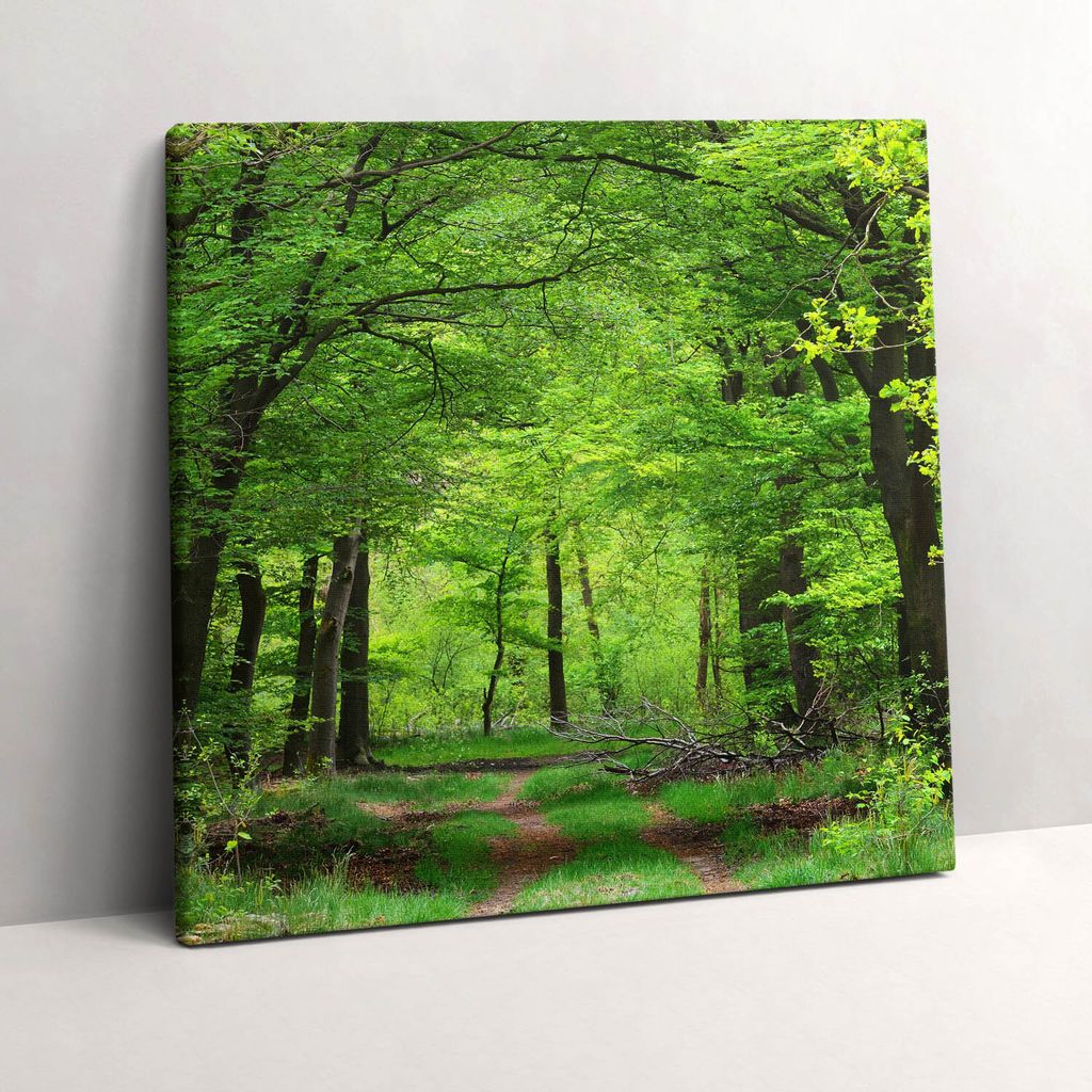 Forest road under the trees – Leinwandbild Wandbild – 60x60 cm – Leinwandbilder – Wandbilder – Schlafzimmer – Flur
