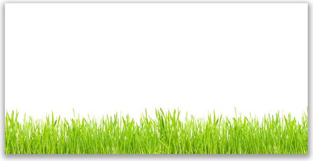 Tulup Leinwand-Bilder 120x60 Wandbild Canvas Kunstdruck Gras Natur