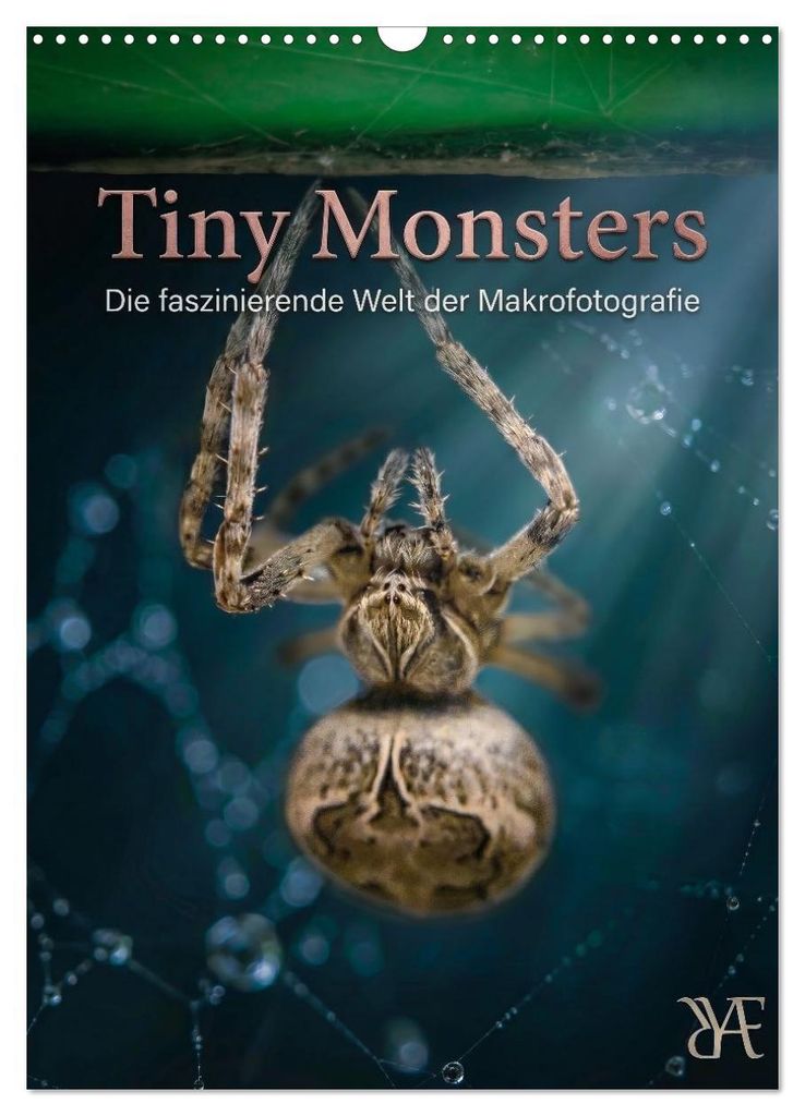 Tiny Monsters - Die faszinierende Welt der Makrofotografie (Wandkalender 2027 DIN A3 hoch), CALVENDO Monatskalender