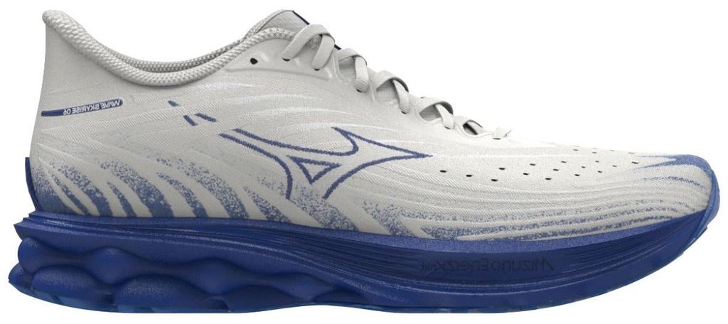 Běžecké boty pro muže Mizuno Wave Skyrise 6 FW Obrázek produktu 