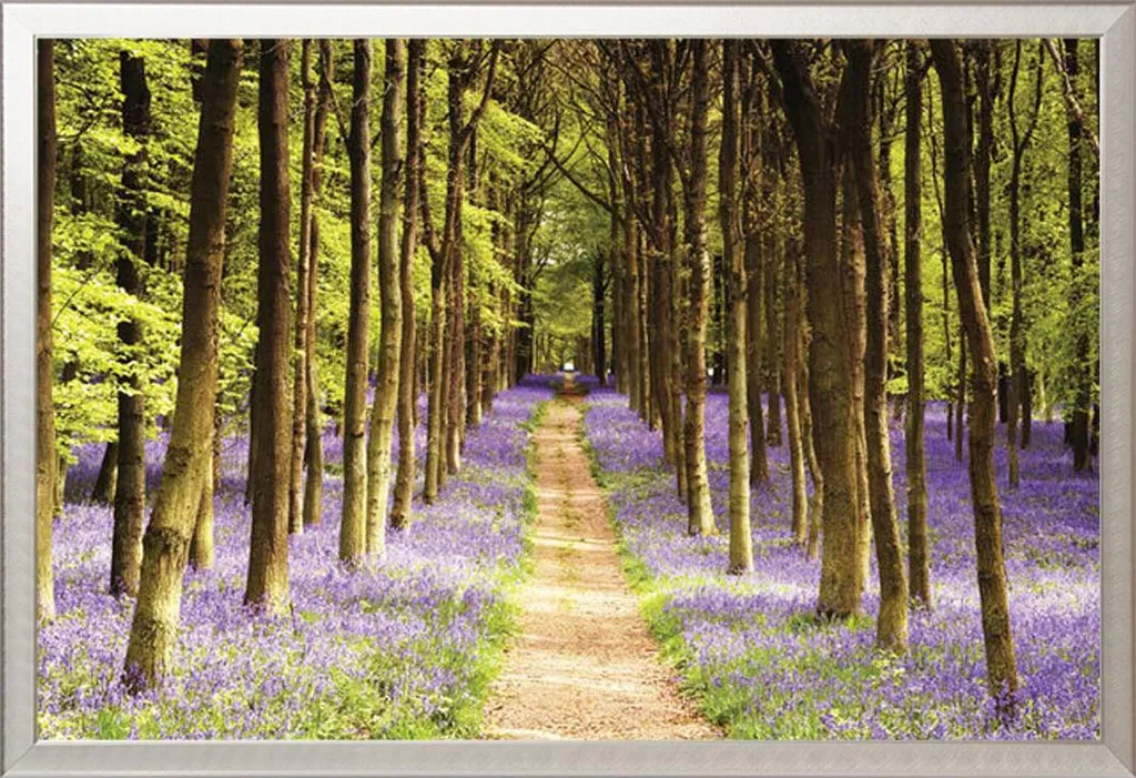 Arredo Parete Woodland Poster + Cornice Alluminio Argento Shinsuke