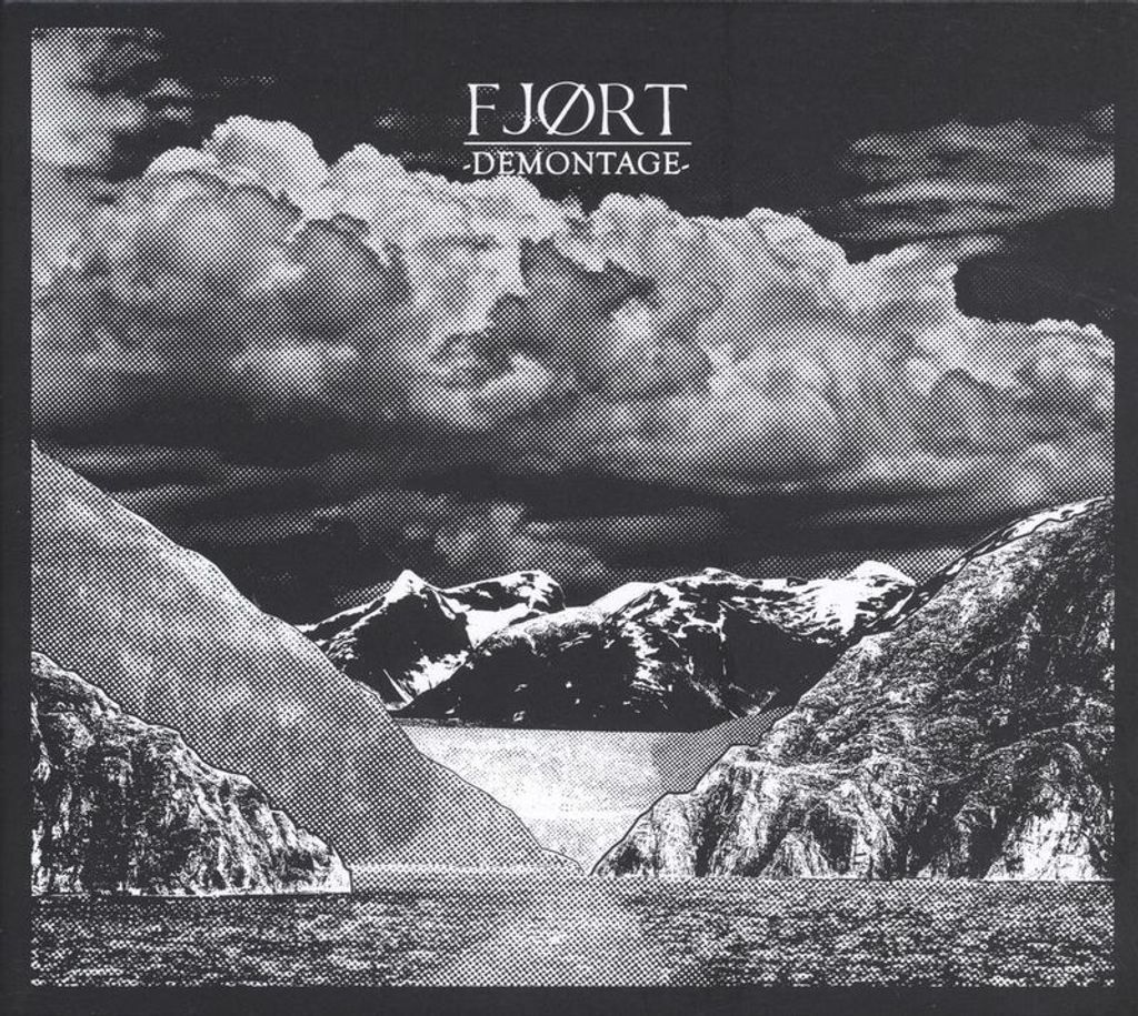 Fjort-Demontage