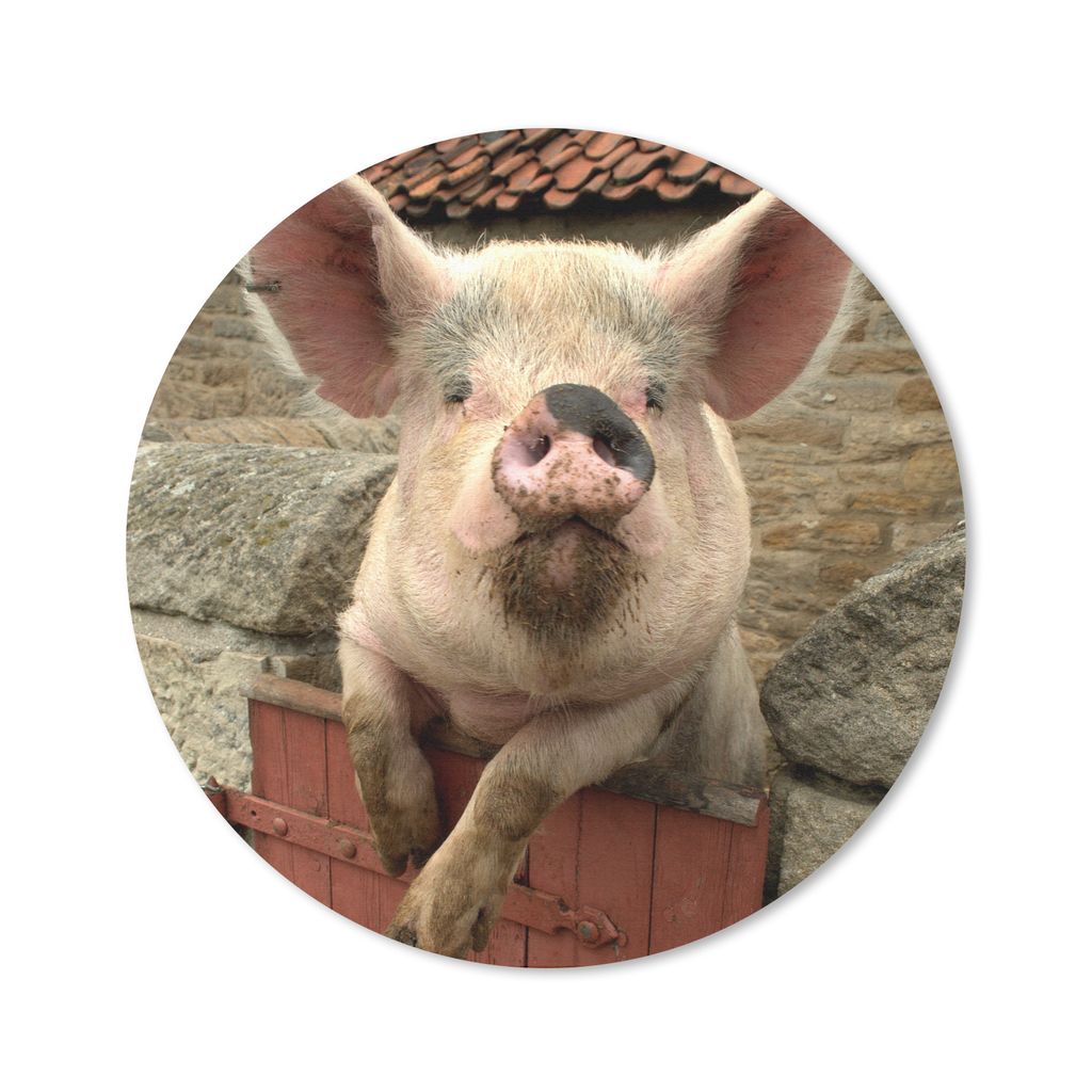 MuchoWow Mauspad Mousepad Schwein - Rosa - Tier 30x30 cm - Mousepads - Maus Mat - Pad - Mausunterlage - Tischunterlage - Schreibtischmatten