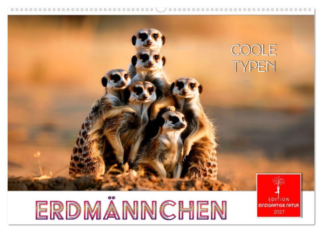 Erdmännchen - coole Typen (Wandkalender 2027 DIN A2 quer), CALVENDO Monatskalender