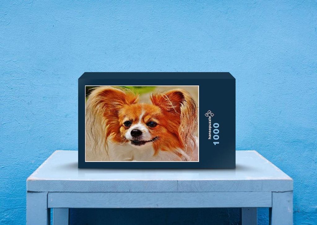 hansepuzzle 31397 - Chihuahua Puzzle, 1000 Teile, Tierwelt, 60,0 x 46,0cm mit hochwertiger Aufbewahrung, Kartonbox und wiederverschließbarem Beutel