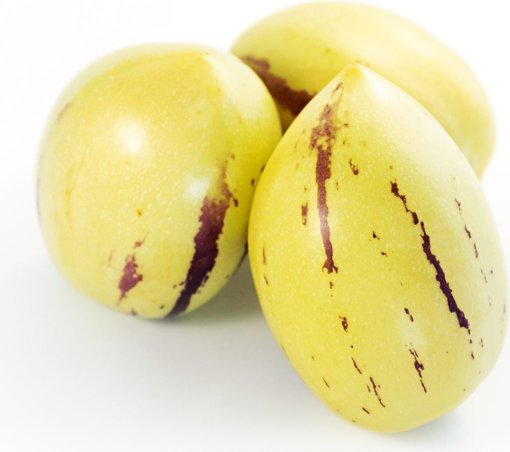 Melonenbirne Birnenmelone Pepino Samen - Solanum muricatum Produktbild 5