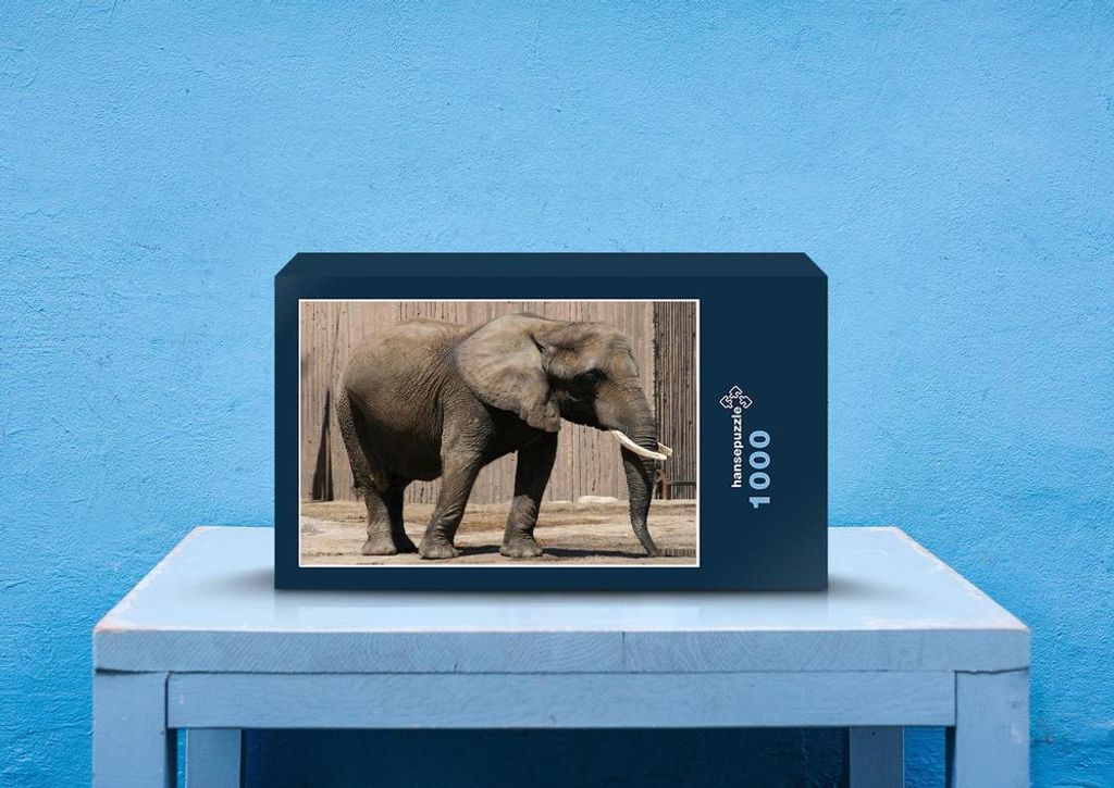 hansepuzzle 76428 - Elefant Puzzle, 1000 Teile, Natur, 60,0 x 46,0cm mit hochwertiger Aufbewahrung, Kartonbox und wiederverschließbarem Beutel