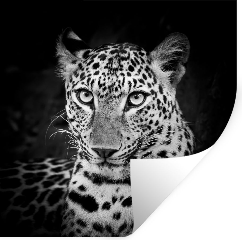 MuchoWow - Wierderverwendbar - Selbstklebend