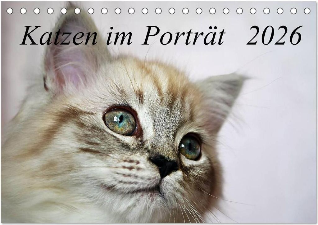 Katzen im Porträt / Geburtstagskalender (Tischkalender 2026 DIN A5 quer), CALVENDO Monatskalender
