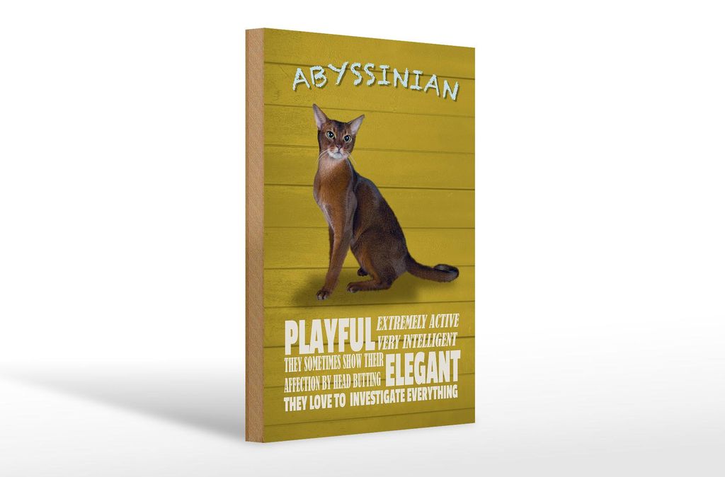 Holzschild Spruch 20x30cm Abyssinian Katze playful elegant