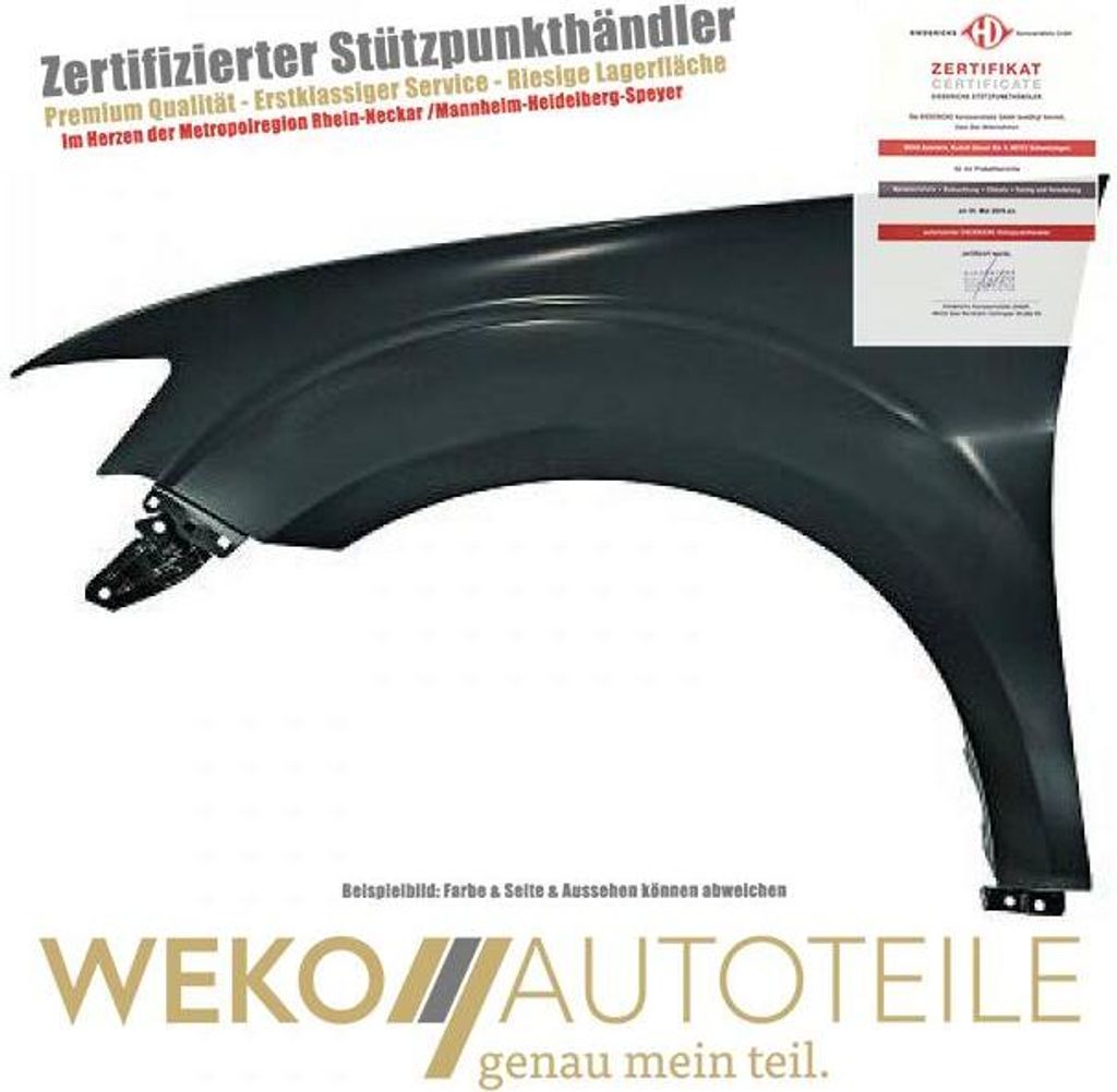 Kotflügel links DIEDERICHS 5847707