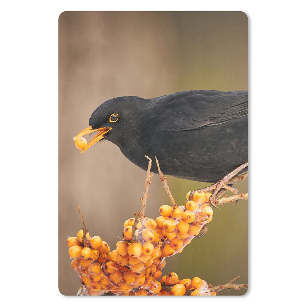 MuchoWow Mauspad Mousepad Vogel - Amsel - Winter - Eis - Beere 40x60 cm - Mousepads - Maus Mat - Pad - Mausunterlage - Schreibtisch Accesoire