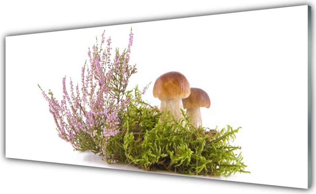 Acrylglasbilder 125x50 Wandbild Druck Pilze Pflanzen