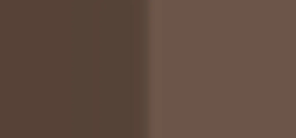 Palette Sourcils Professionnelle pour Dessiner et Fixer le Regard - 2
