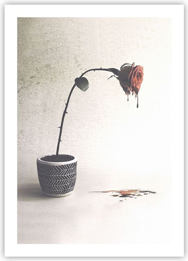 Poster - Poster ohne Rahmen - Symbol Rose Leiden - 50x70 cm - Wand Bild - Wanddeko - Wandbilder - Kunstposter - Wandposter - Bilder - Kunstdruck - ...