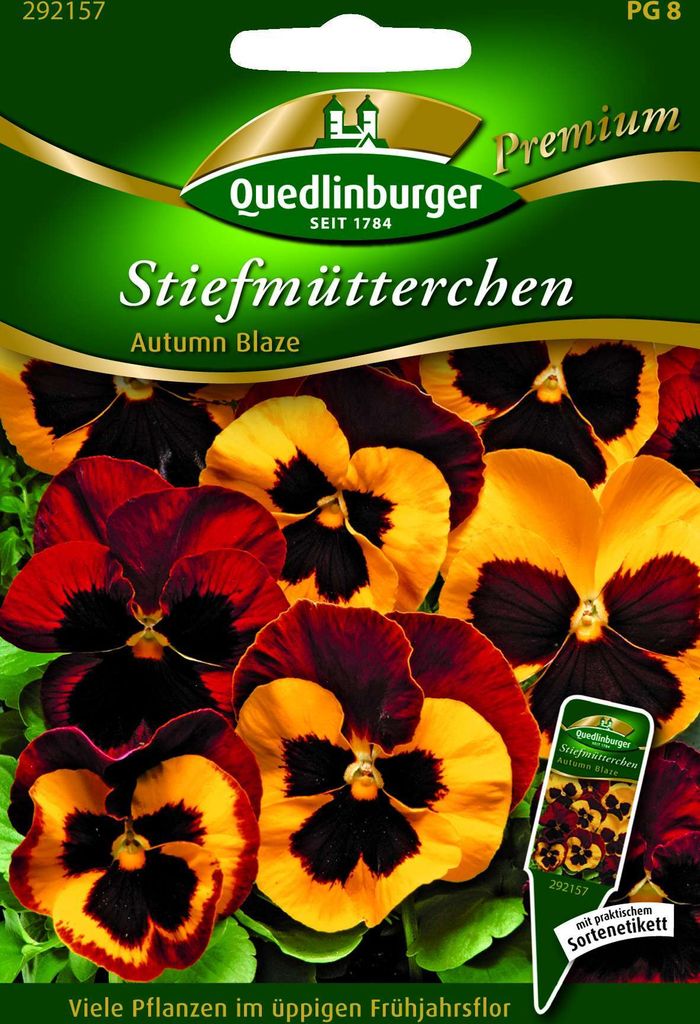 Stiefmütterchen Autumn Blaze | Stiefmütterchensamen von Quedlinburger