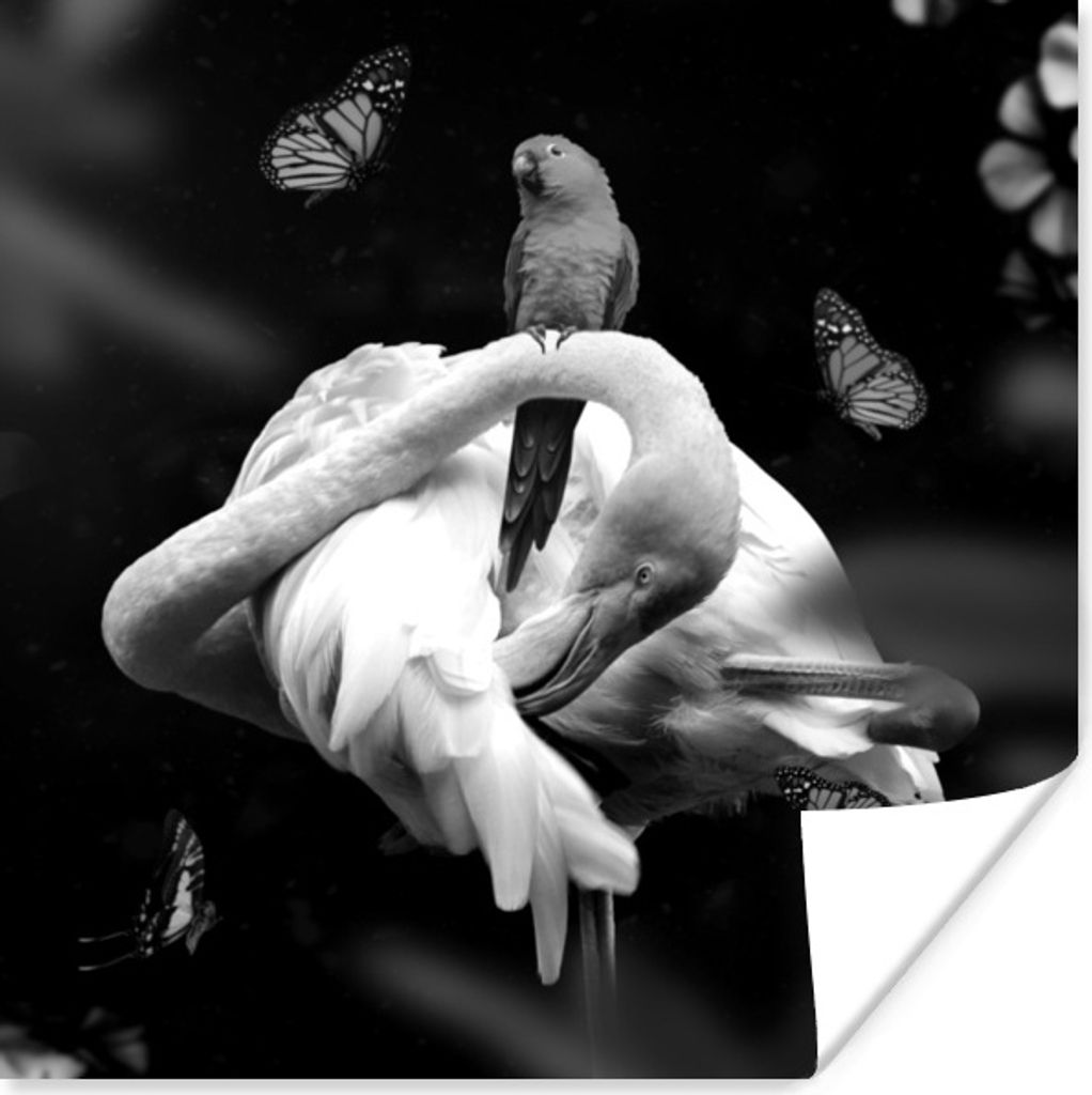 MuchoWow Poster Flamingo - Tiere - Natur - Schwarz - Weiß 30x30 cm - Wandposter - Printing