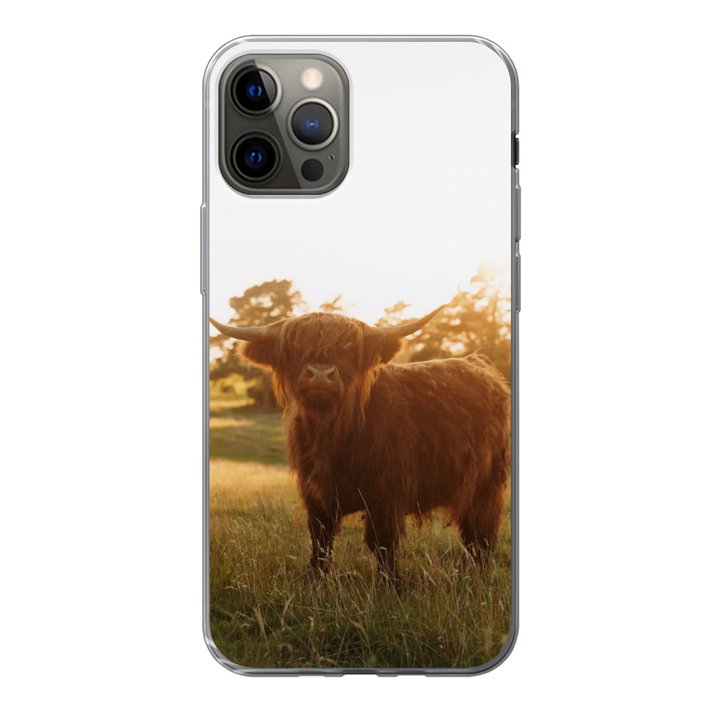 MuchoWow Handyhülle Schutzhülle Hülle für iPhone 12 Pro Schottischer Hochländer - Gras - Sonne Silikon Softcase Handy Hülle - Abdeckung
