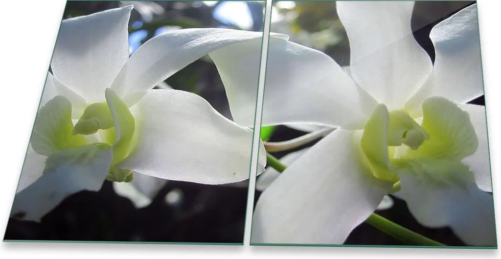 Tagliere in Vetro e Copri Piano Cottura 40x52 cm Orchid White 2pz
