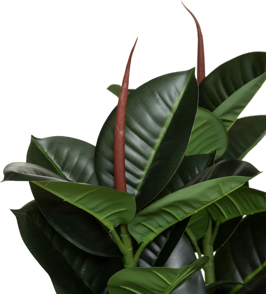 Ficus Robusta Artificiel 120cm : La Solution Déco sans Main Verte