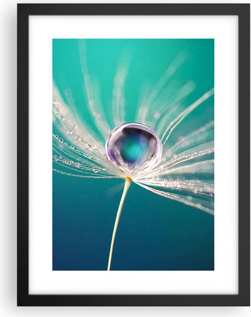 Gerahmtes Poster - Schwarzer Rahmen - Pflanze Natur - 30x40 cm - Wand Bild - Wanddeko - Wandbilder - Kunstposter - Wandposter - Bilderrahmen - Bild...