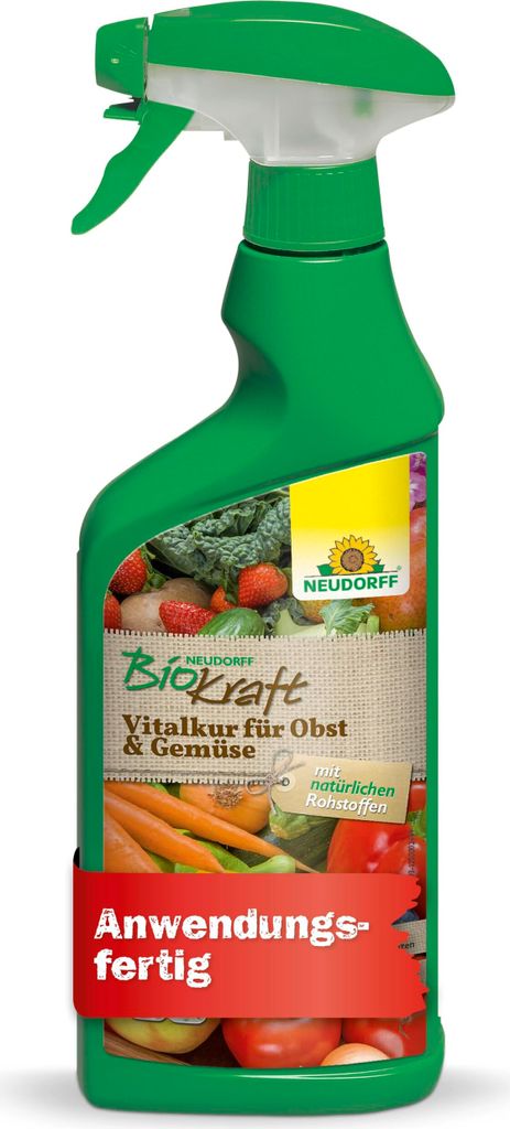 Neudorff BioKraft Vitalkur AF für Buxus & Ilex 500ml Produktbild 