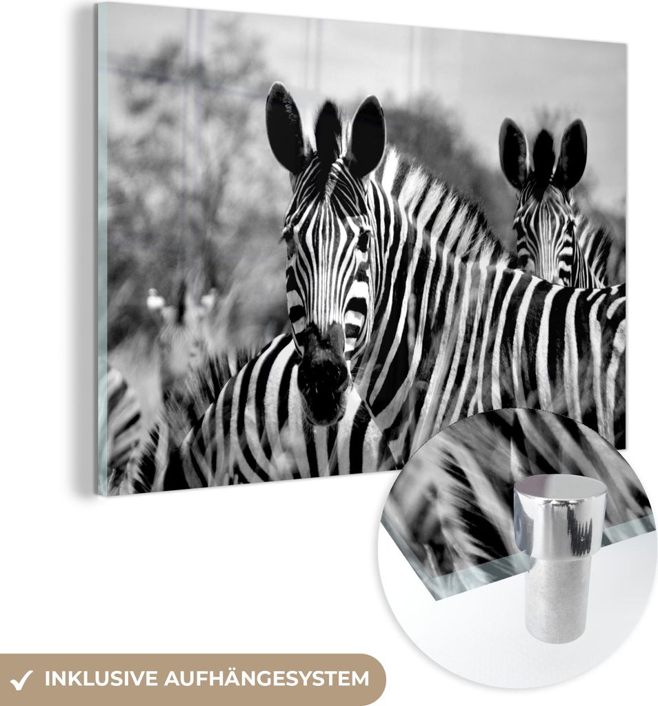 MuchoWow Glasbilder - Bilder auf Wandbild - Foto auf Glas Zebra - Schwarz - Weiß - Tiere 90x60 cm Wanddekoration aus Glas - Acrylglasbild - Acrylb...