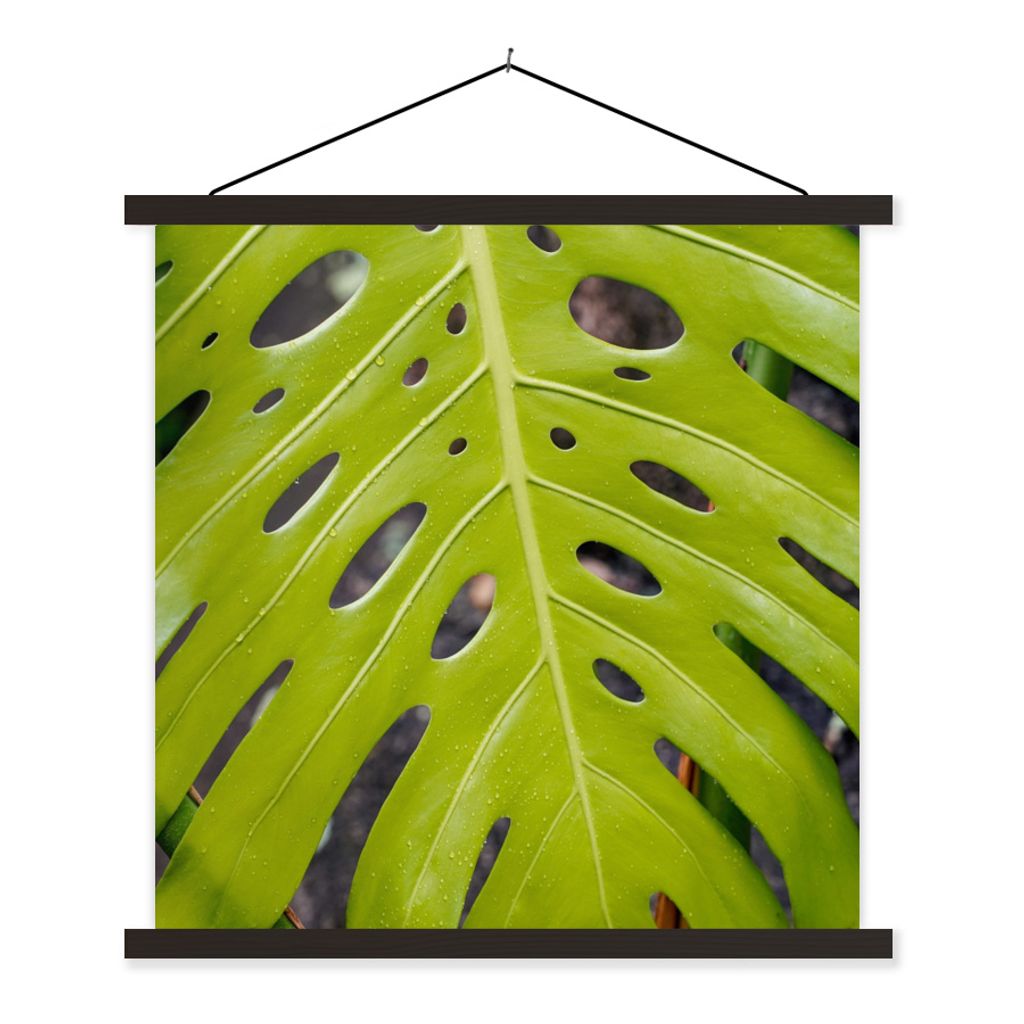 MuchoWow Textilposter Großes botanisches Blatt der Lochpflanze 60x60 cm mit schwarzem Rahmen - Posteraufhänger