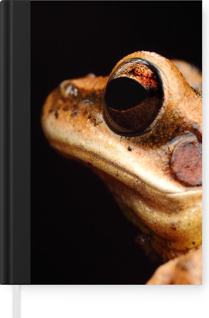 MuchoWow Notizbuch Tagebuch Haushaltsbuch Notebook A5 Frosch - Auge - Schwarz - Notizblock - Notizheft - Notebook - Schreibblock - Papier