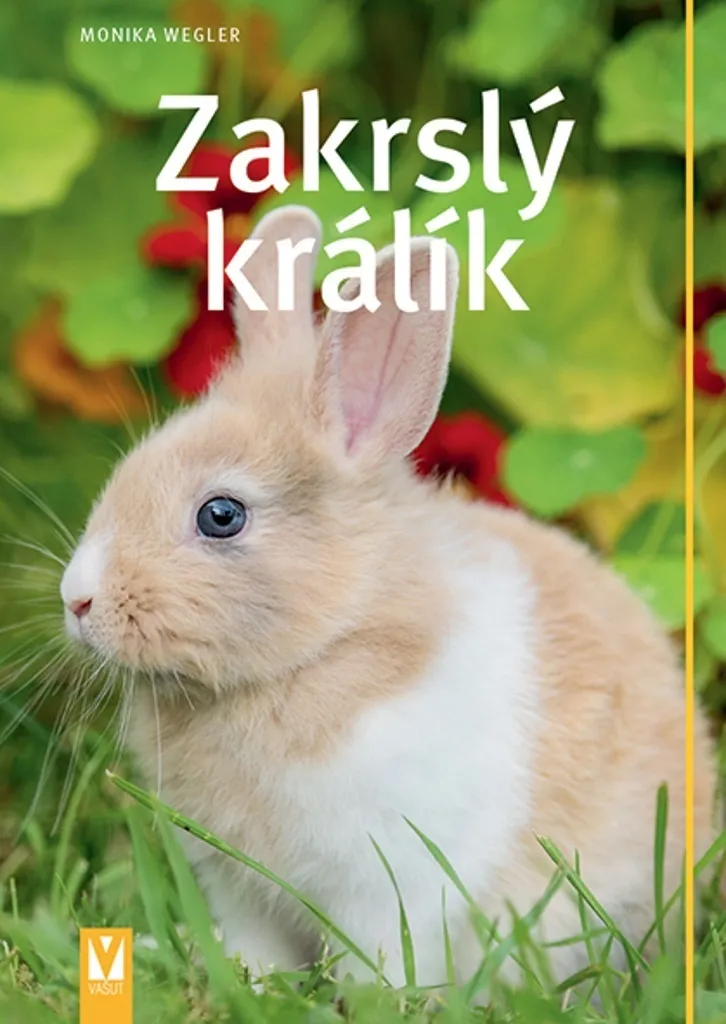 Livre de conseils Zakrslý králík : élever et soigner son lapin nain