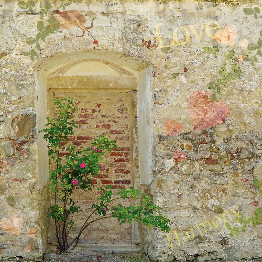Mauern Kunstdruck Bild - Romantische Garten-Mauer (70 x 70 cm)
